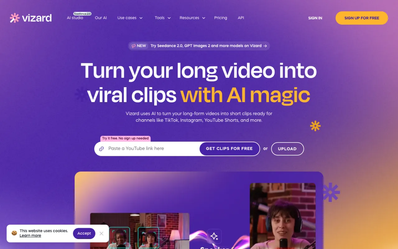 Vizard screenshot